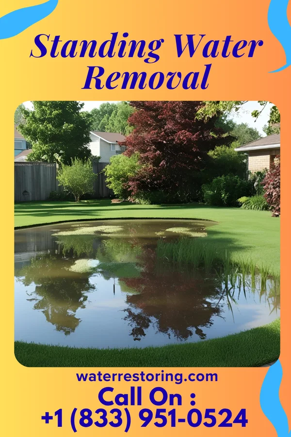 Standing Water Removal in Sullivan, WI